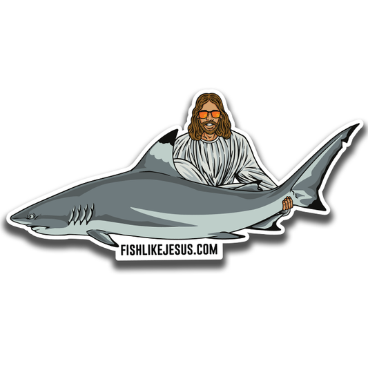 JC Blacktip Shark